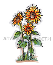H-304-HK Sunflowers